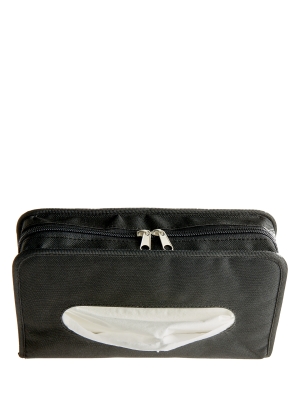 VisorStash™ Driver Organizer