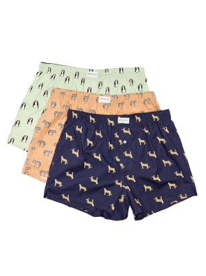 3-Pack Wild Animal Woven Boxers