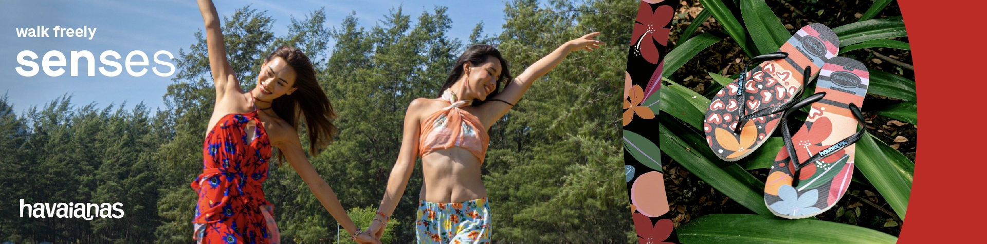 havaianas online shop